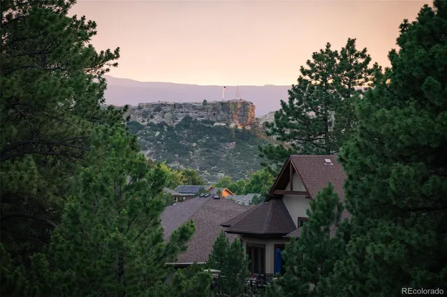a living room with furniture flower pot and a fireplace