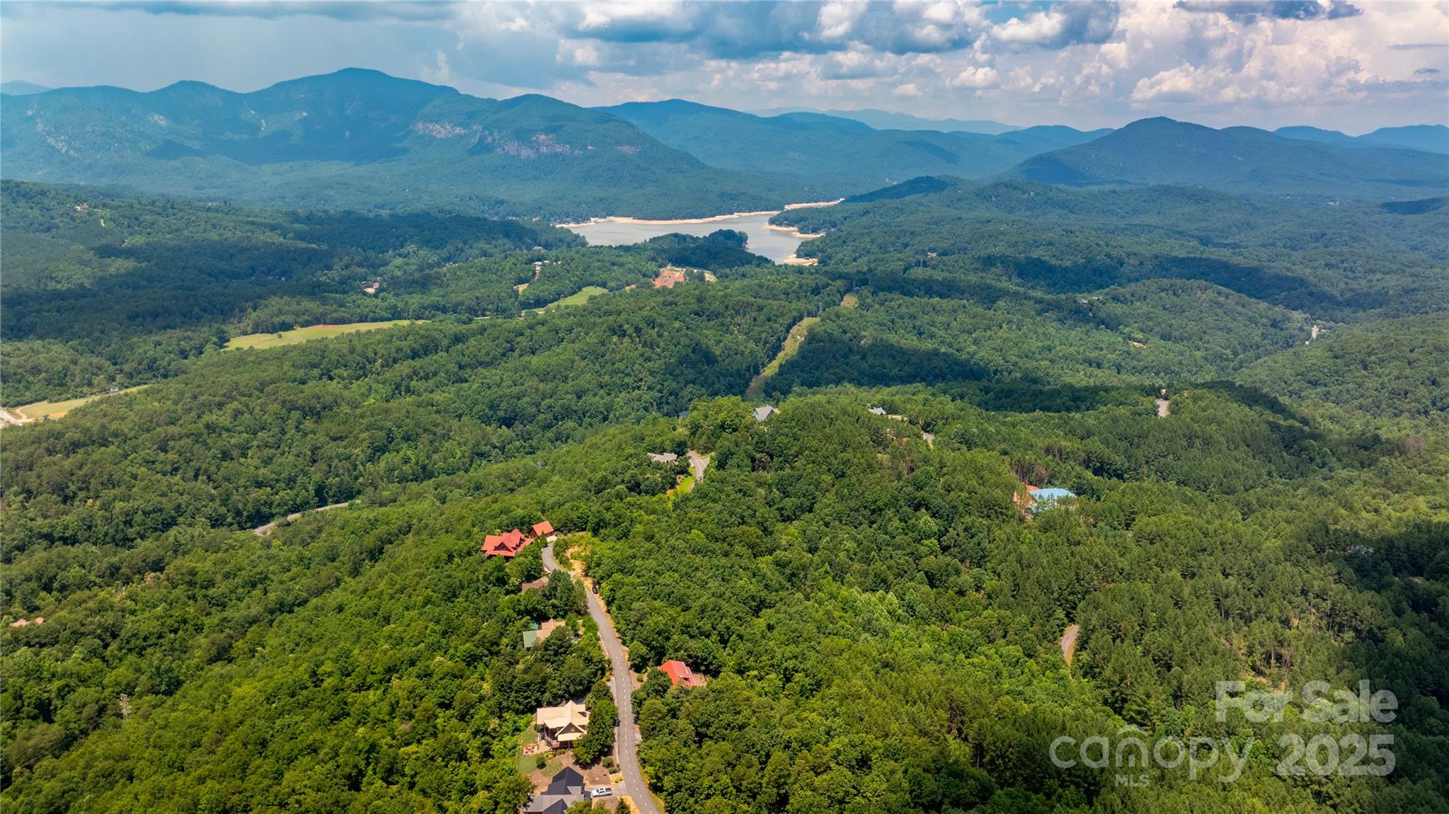 240 Boulder Ridge Lake Lure, NC 28746 - Photo 14 of 28 a view of a lush green hillside and a houses