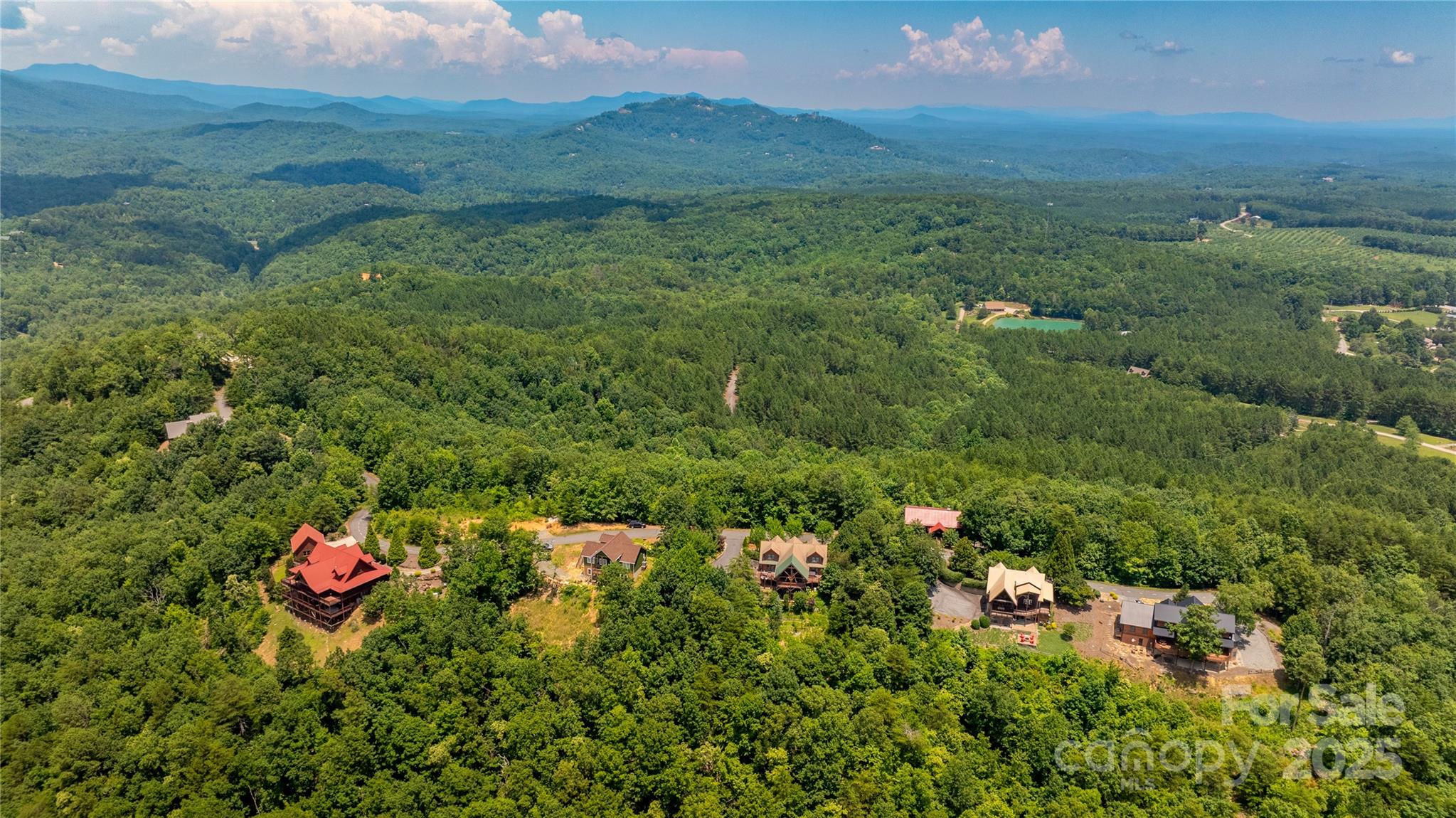 240 Boulder Ridge Lake Lure, NC 28746 - Photo 21 of 28 a view of a lush green forest with a houses