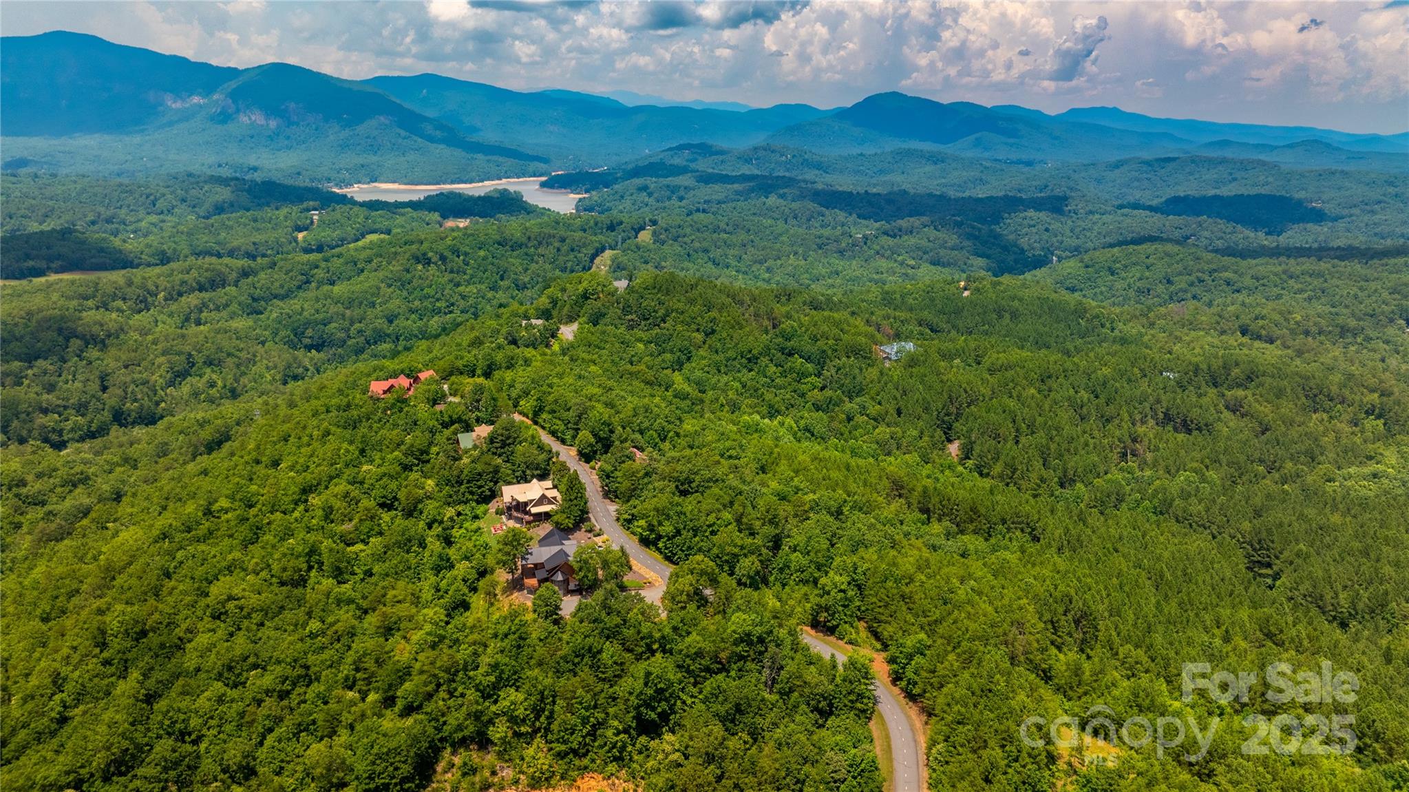 240 Boulder Ridge Lake Lure, NC 28746 - Photo 22 of 28 a view of a lush green forest with houses and mountain view