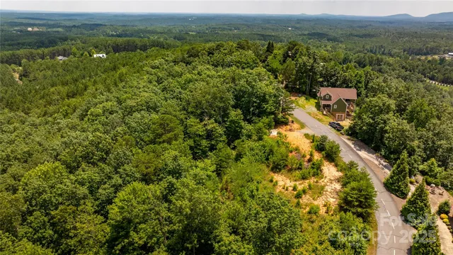an aerial view of residential houses with outdoor space and trees