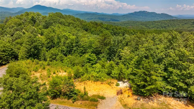 a view of an outdoor space and a yard