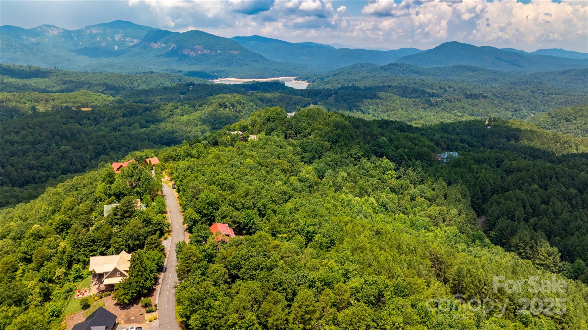 240 Boulder Ridge Lake Lure, NC 28746 - Photo 3 of 28 a view of a lush green hillside and houses