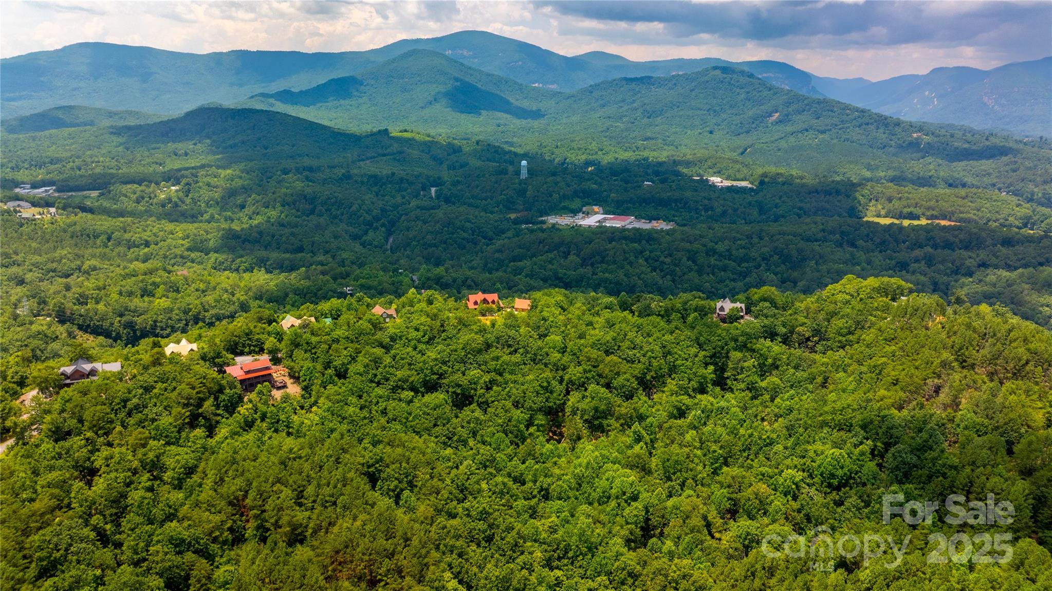 240 Boulder Ridge Lake Lure, NC 28746 - Photo 4 of 28 a view of a lush green hillside and a houses