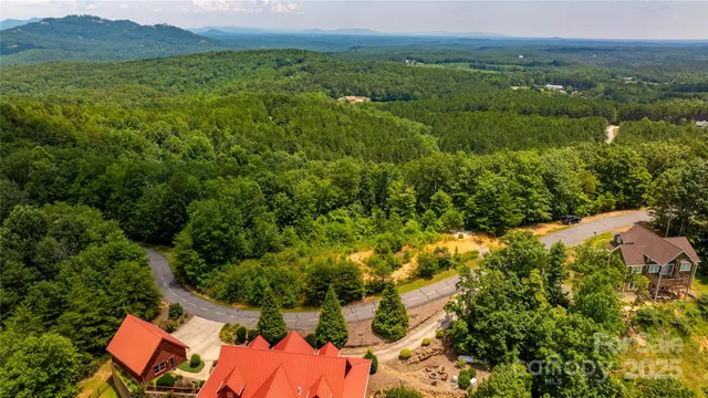 an aerial view of residential houses with outdoor space and trees