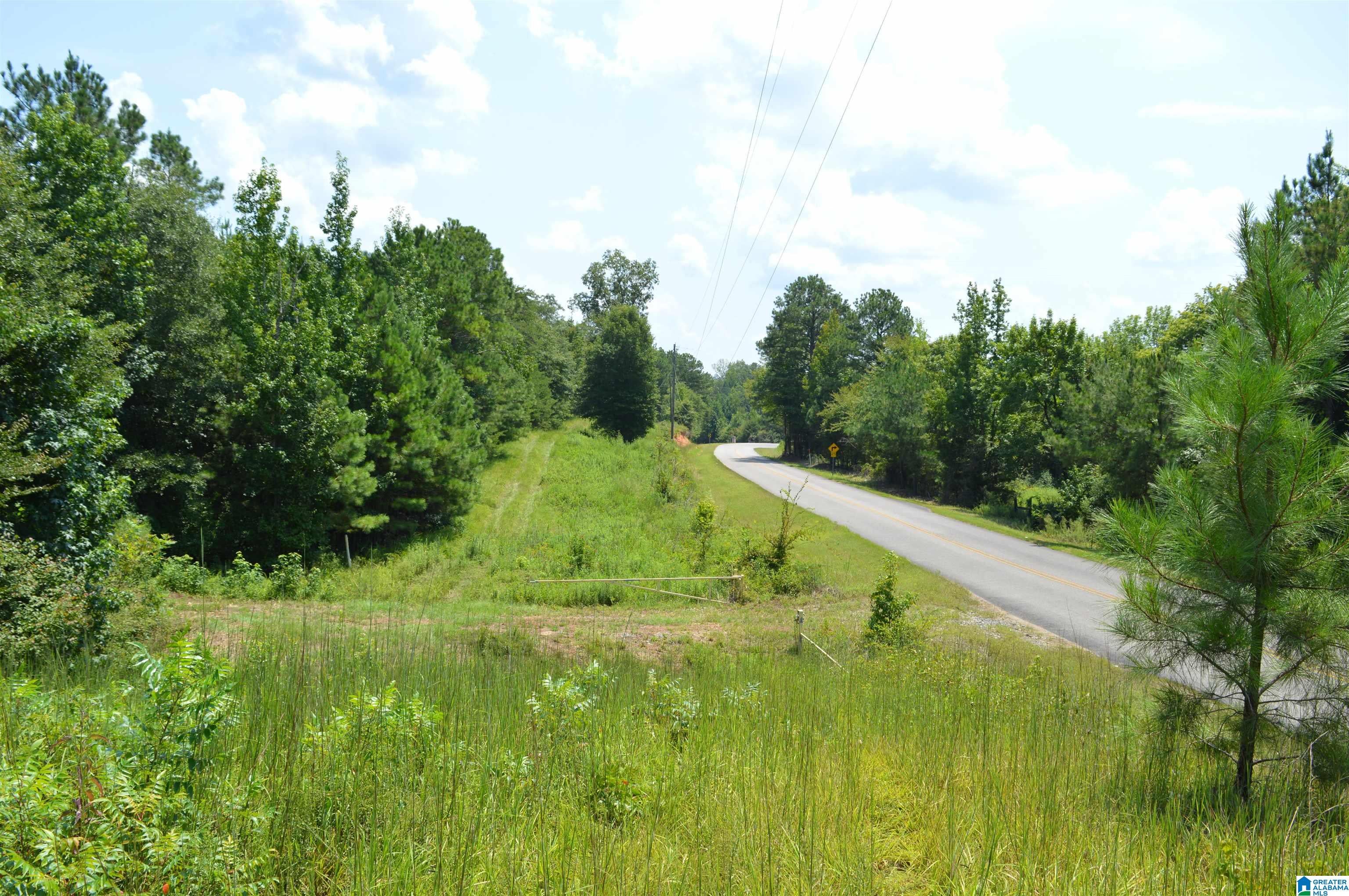 0 Gorgas Road Northport, AL 35475 - Photo 23 of 30 Gallery Image 23