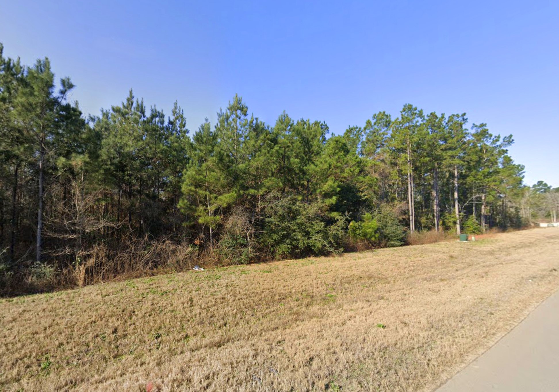 11694 Grand N Road Willis, TX 77378 - Photo 6 of 19