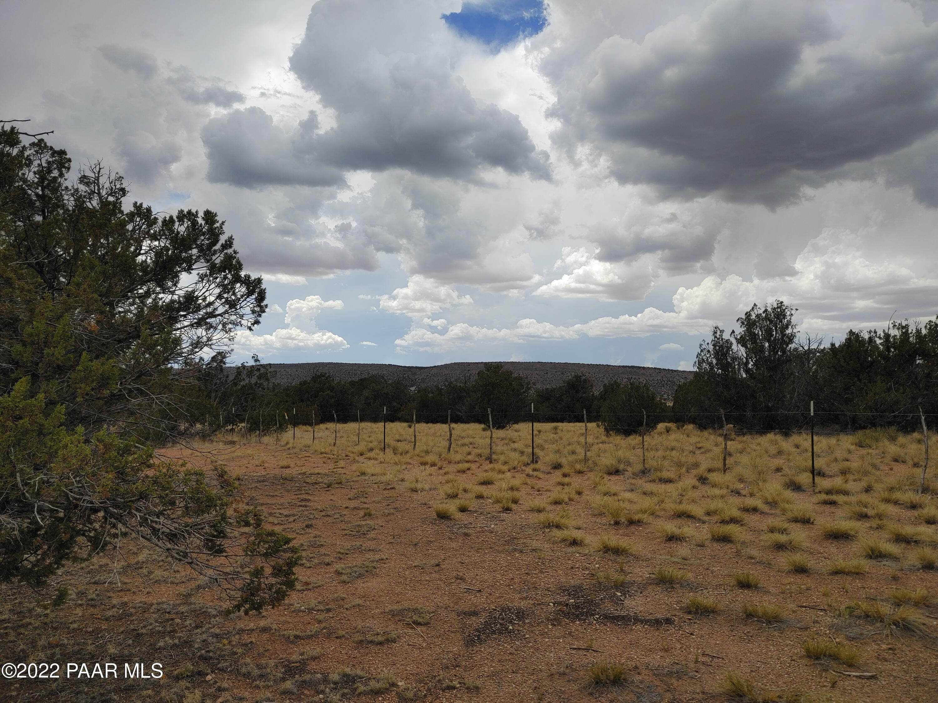 27140 Fort Rock Road Seligman, AZ 86337 - Photo 6 of 16 backarea2