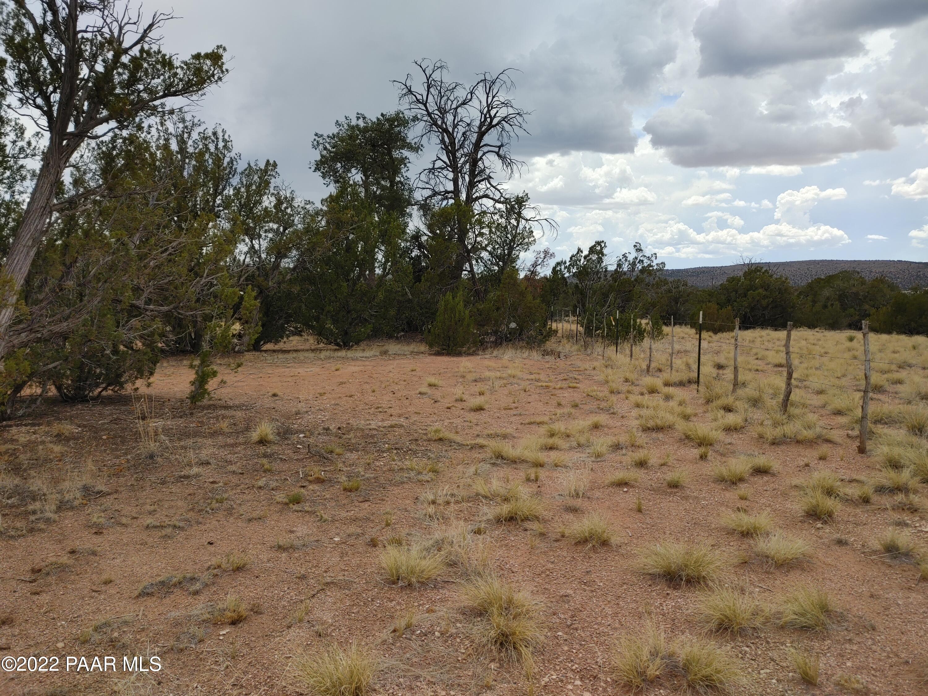27140 Fort Rock Road Seligman, AZ 86337 - Photo 7 of 16 backarea3