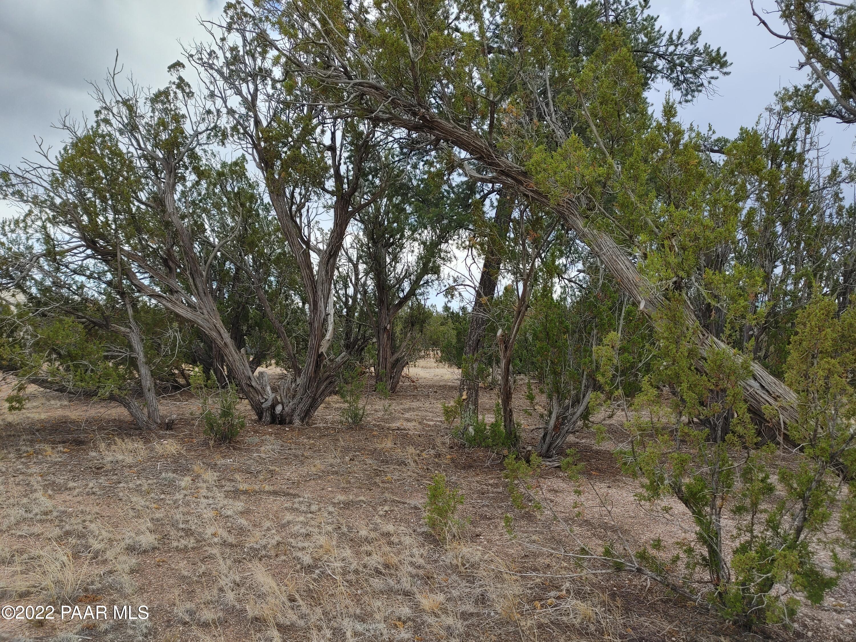 27140 Fort Rock Road Seligman, AZ 86337 - Photo 9 of 16 middle