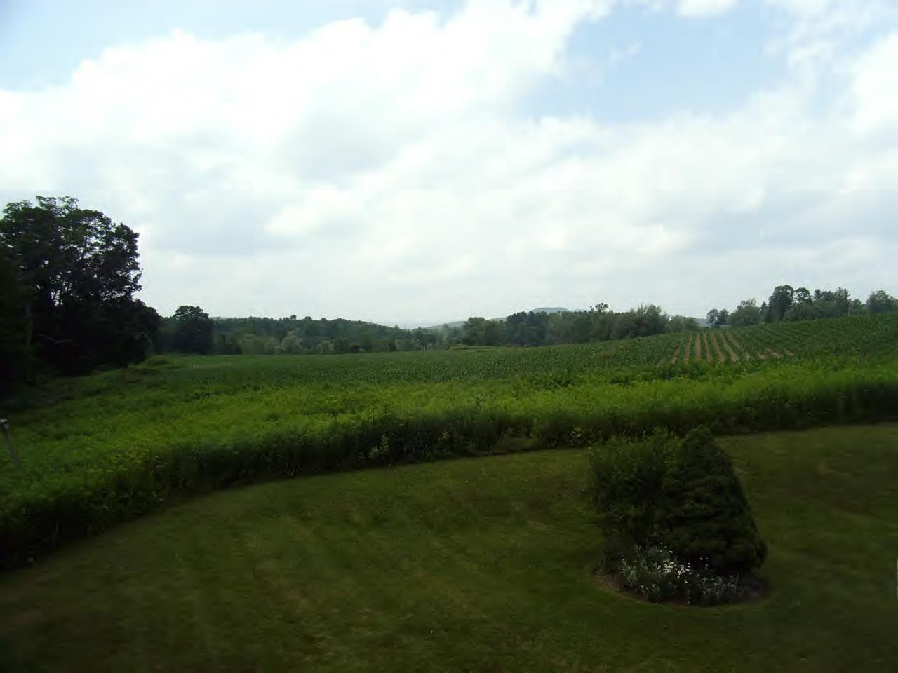 100 Hurlburt Road Great Barrington, MA 01230 - Photo 3 of 6 Additional Photo
