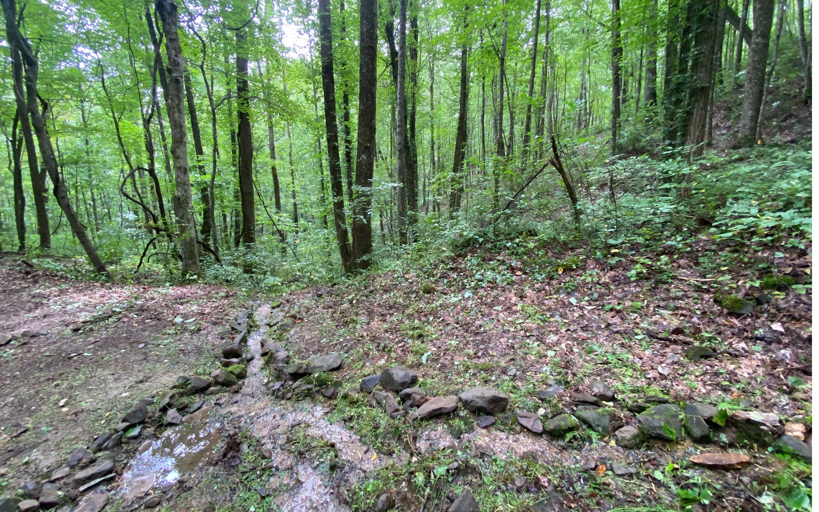 662 Gault's Gulch Road Talking Rock, GA 30175 - Photo 1 of 1 a view of yard