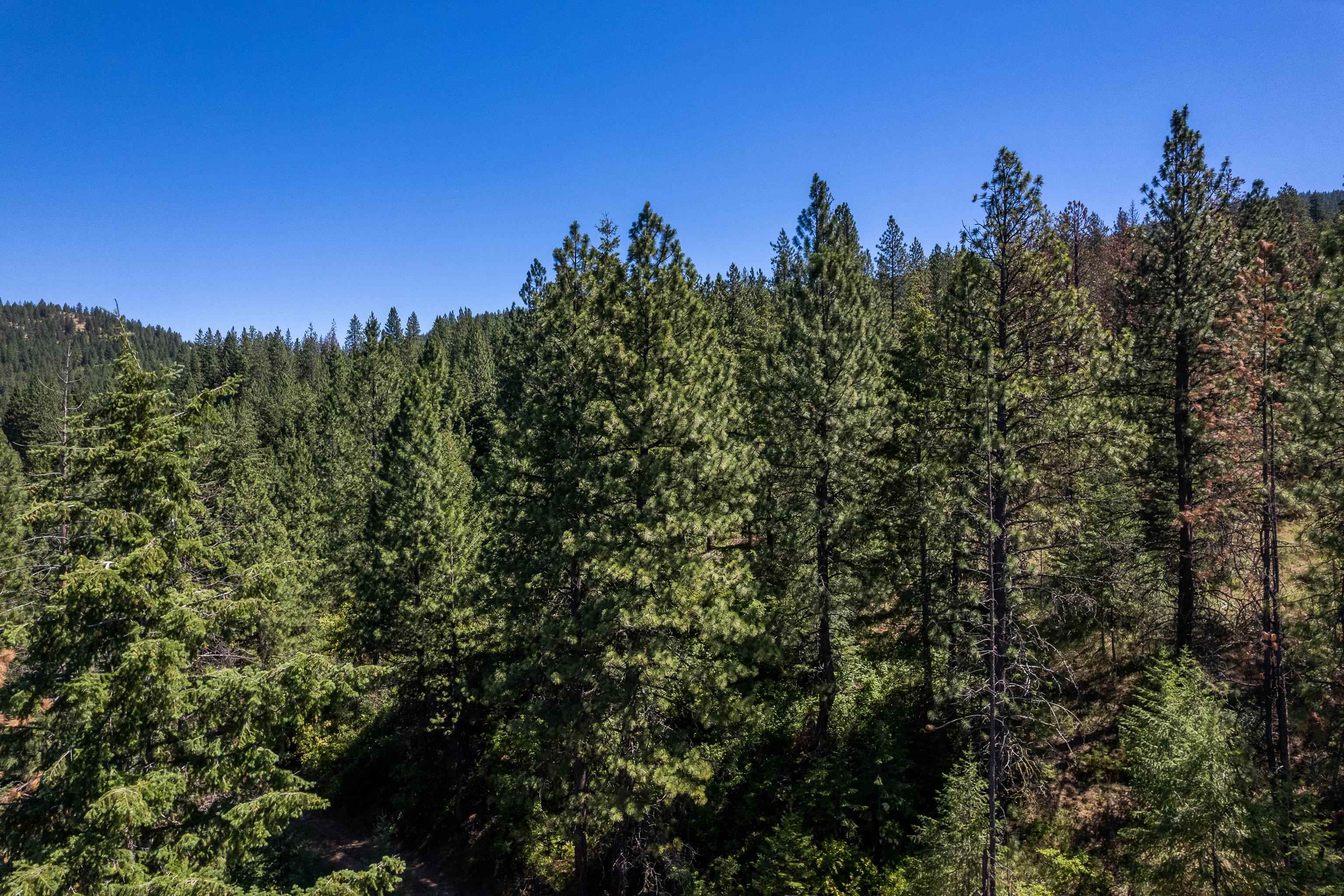 0 South Idaho Road Liberty Lake, WA 99019 - Photo 11 of 42 Gallery Image 11