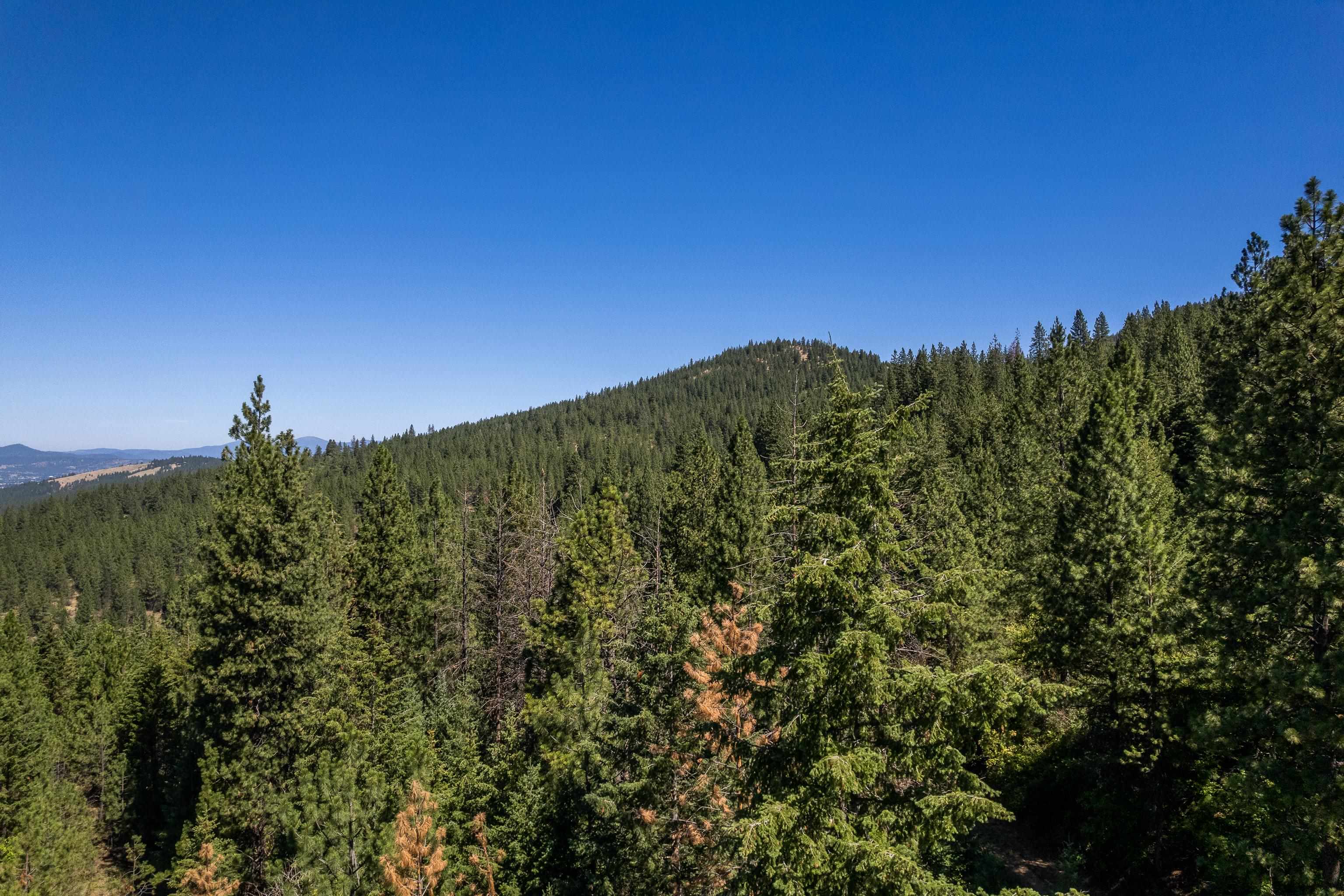 0 South Idaho Road Liberty Lake, WA 99019 - Photo 12 of 42 Gallery Image 12