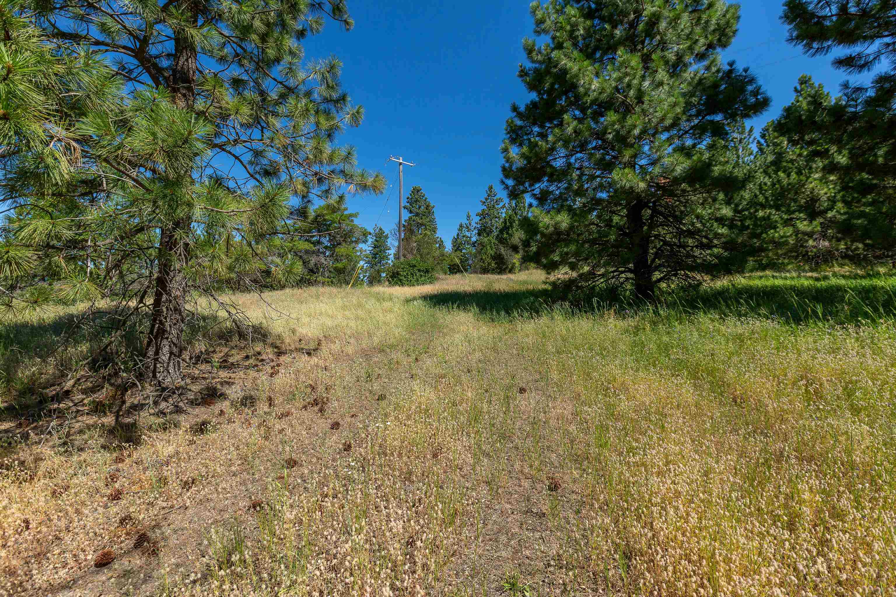 0 South Idaho Road Liberty Lake, WA 99019 - Photo 20 of 42 Gallery Image 20