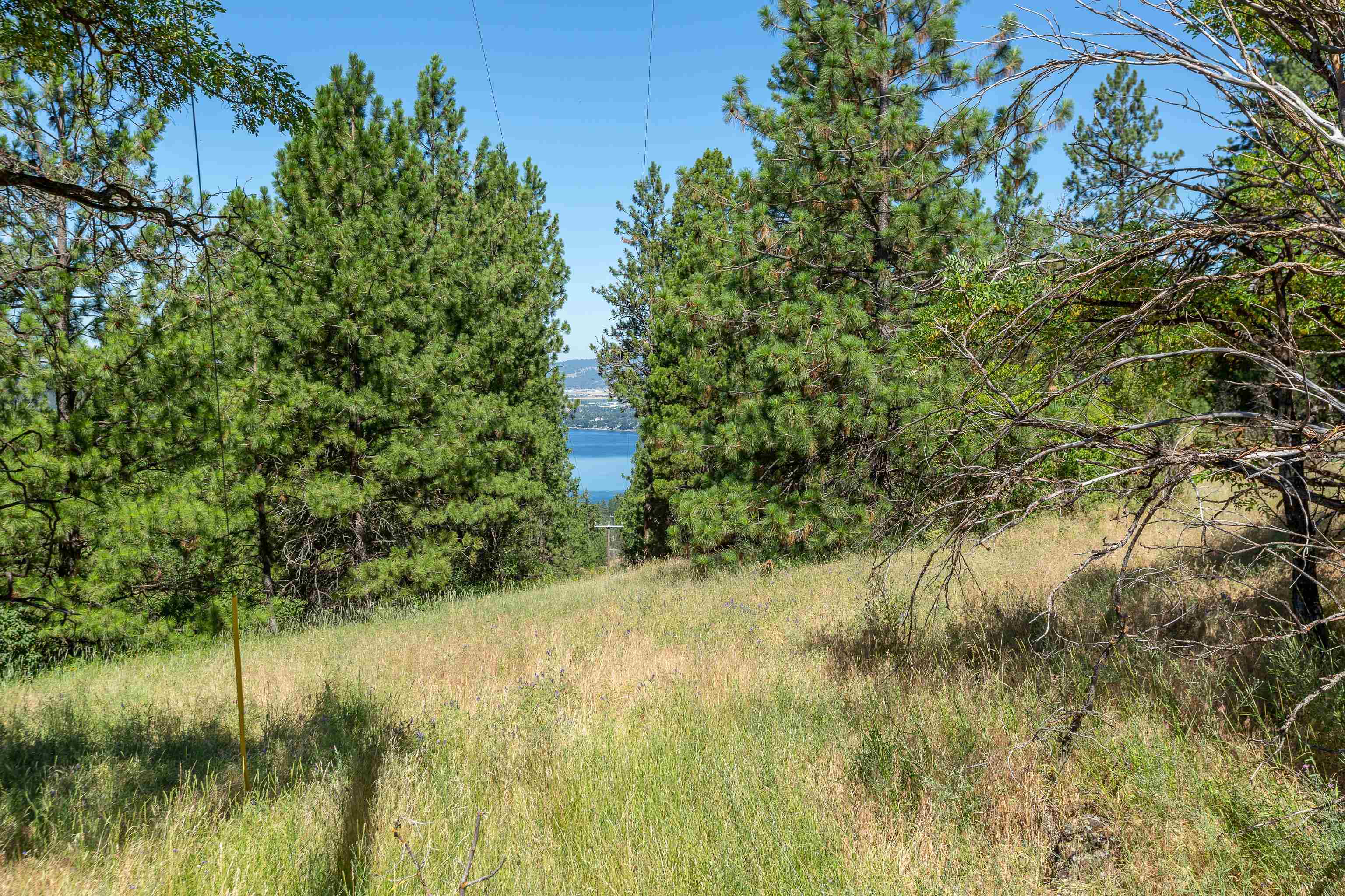 0 South Idaho Road Liberty Lake, WA 99019 - Photo 24 of 42 Gallery Image 24