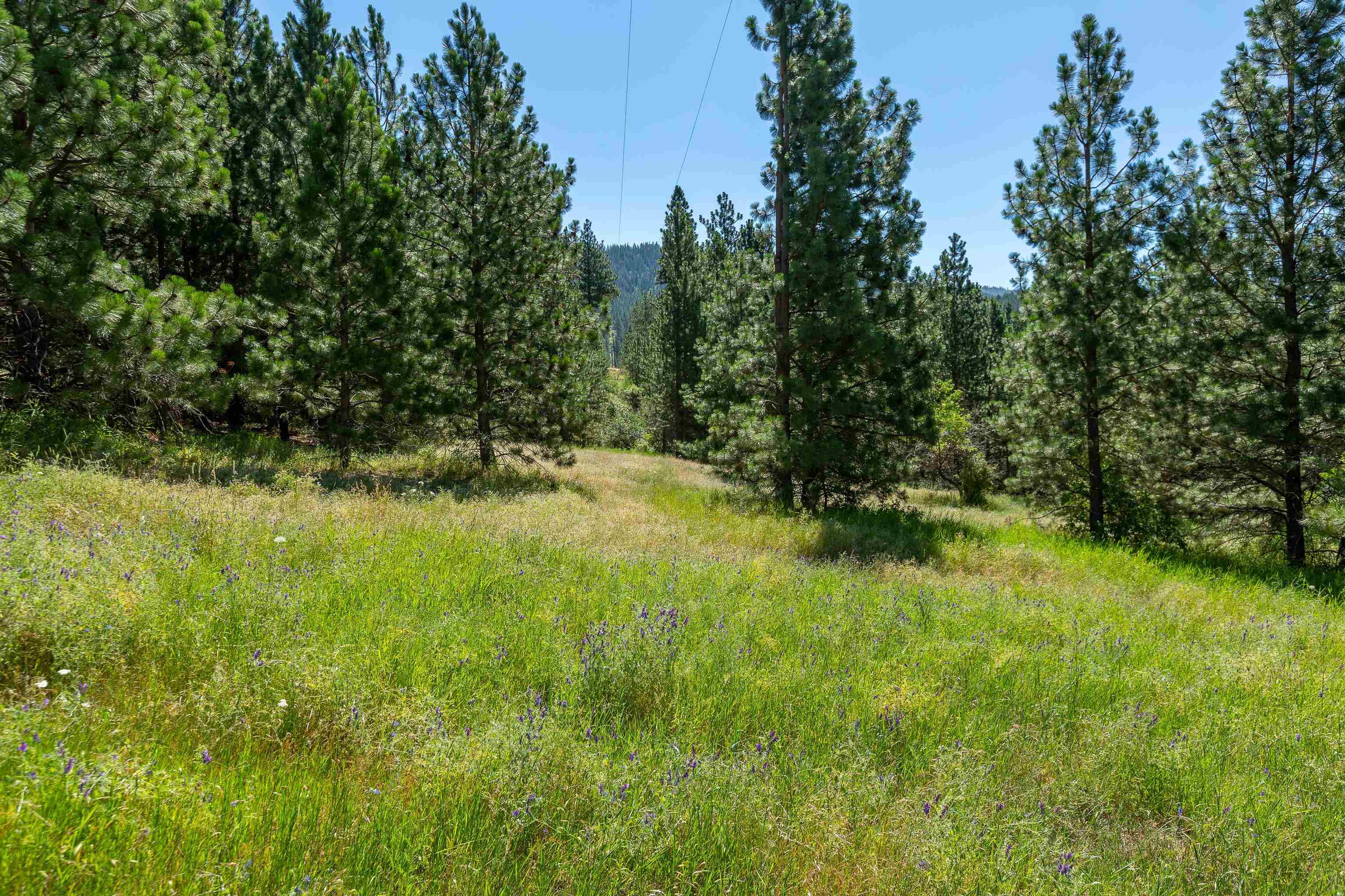 0 South Idaho Road Liberty Lake, WA 99019 - Photo 27 of 42 Gallery Image 27