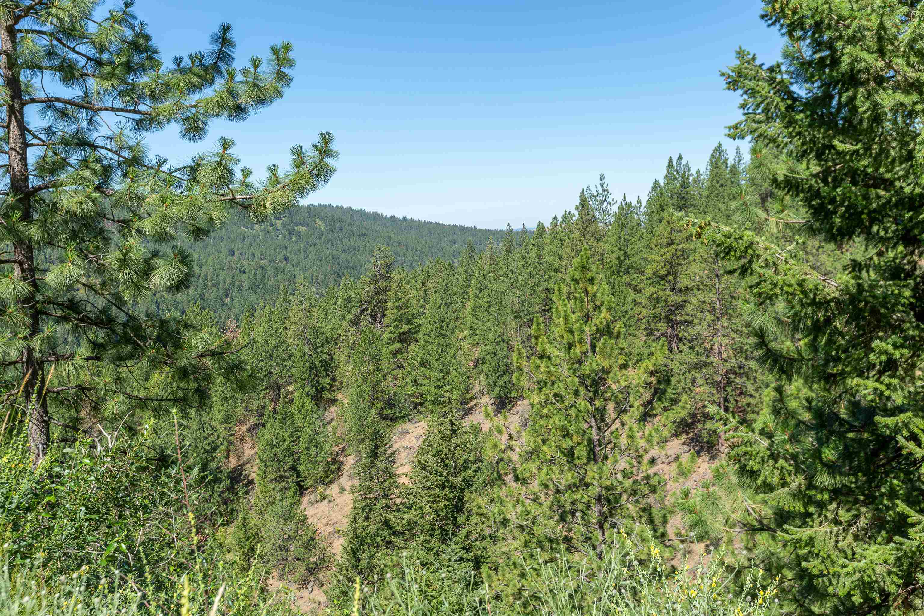 0 South Idaho Road Liberty Lake, WA 99019 - Photo 31 of 42 Gallery Image 31
