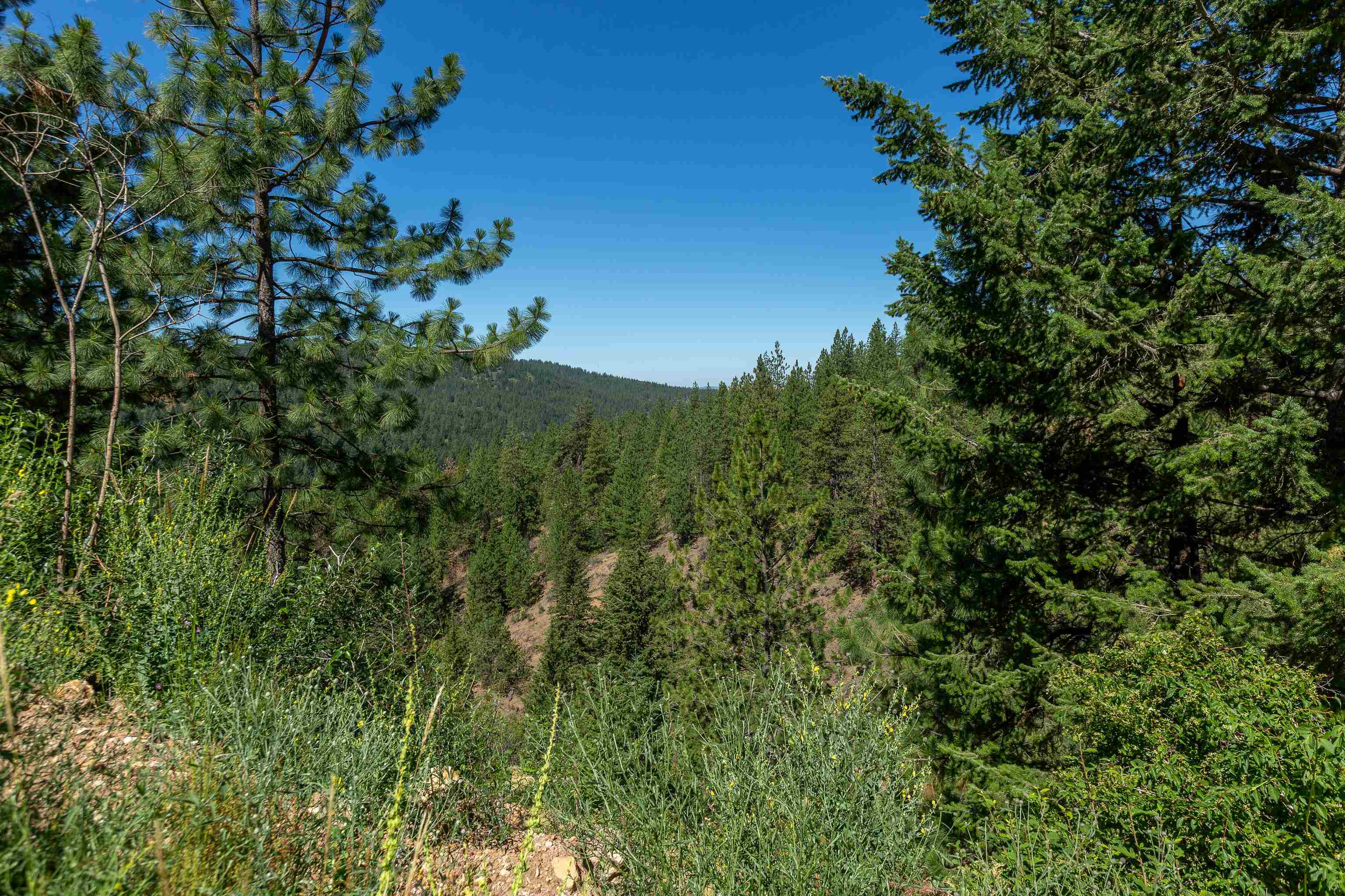0 South Idaho Road Liberty Lake, WA 99019 - Photo 32 of 42 Gallery Image 32