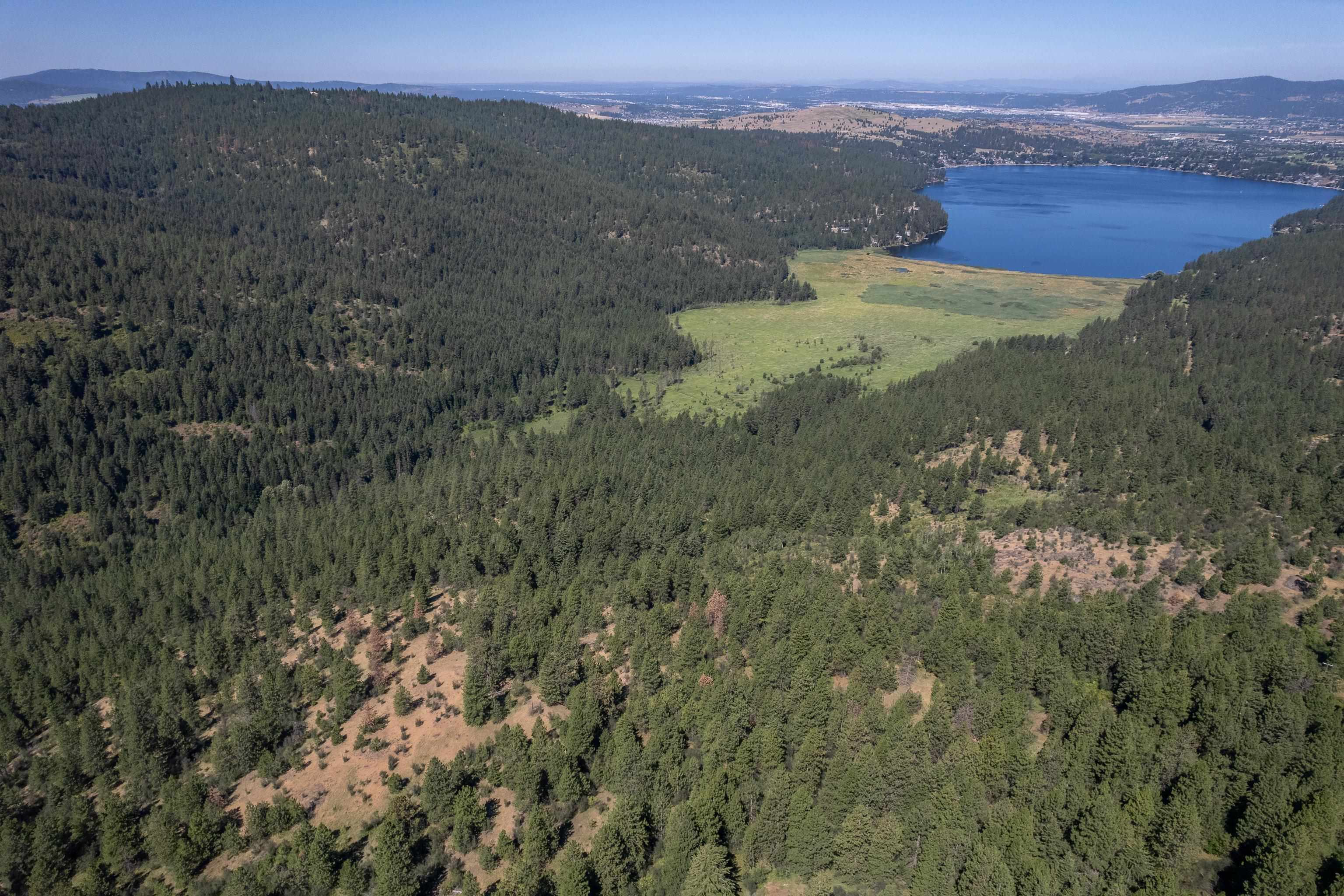 0 South Idaho Road Liberty Lake, WA 99019 - Photo 5 of 42 Gallery Image 5