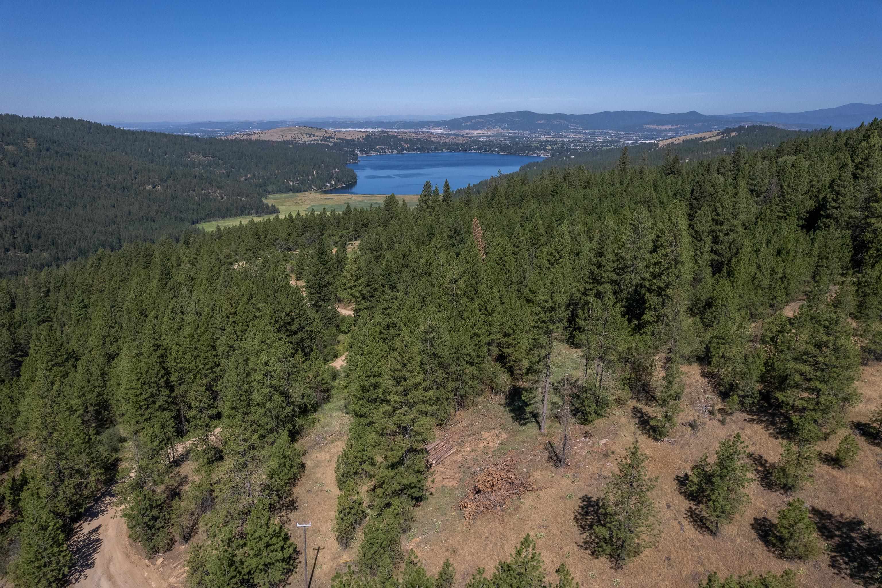 0 South Idaho Road Liberty Lake, WA 99019 - Photo 6 of 42 Gallery Image 6