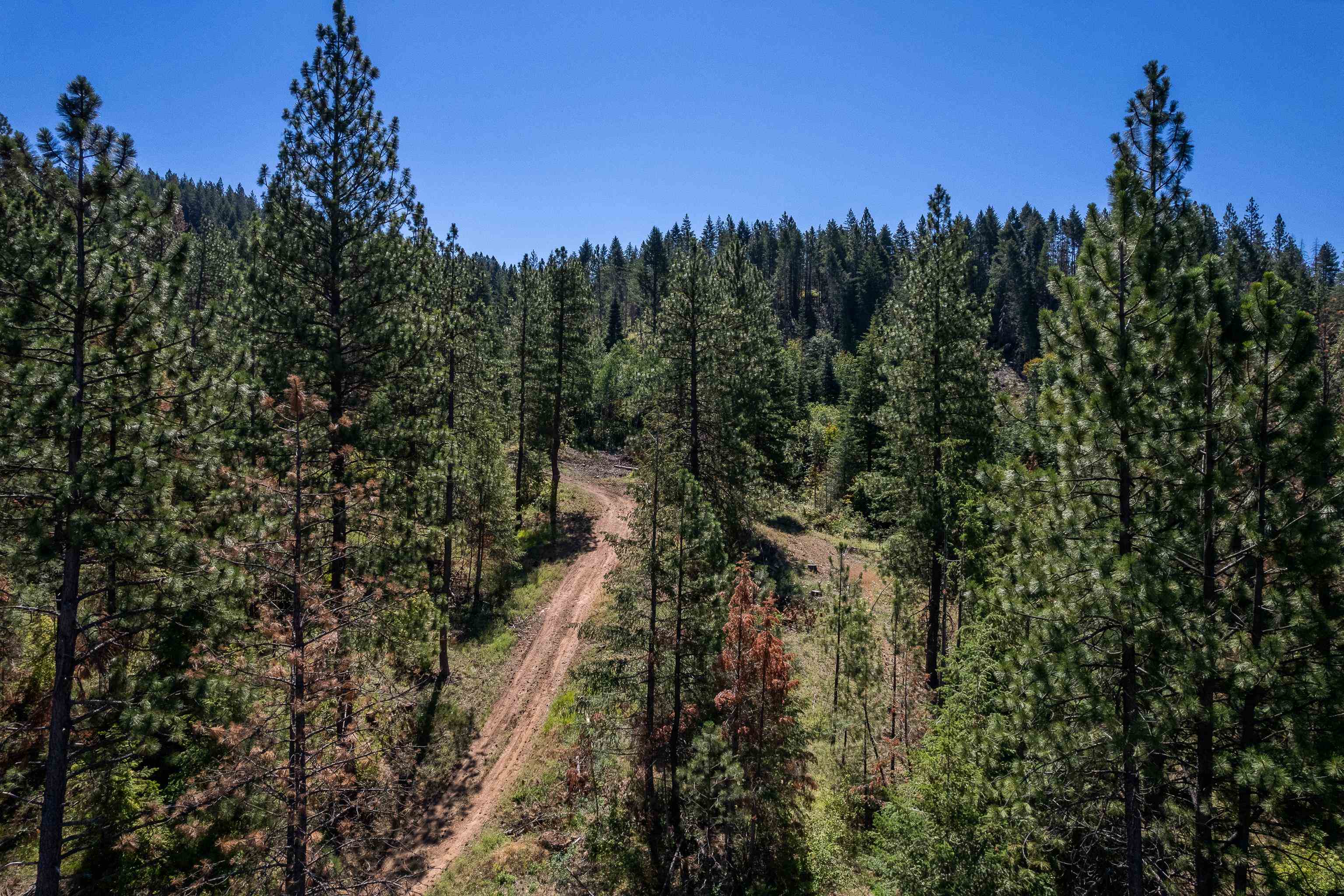 0 South Idaho Road Liberty Lake, WA 99019 - Photo 10 of 42 Gallery Image 10