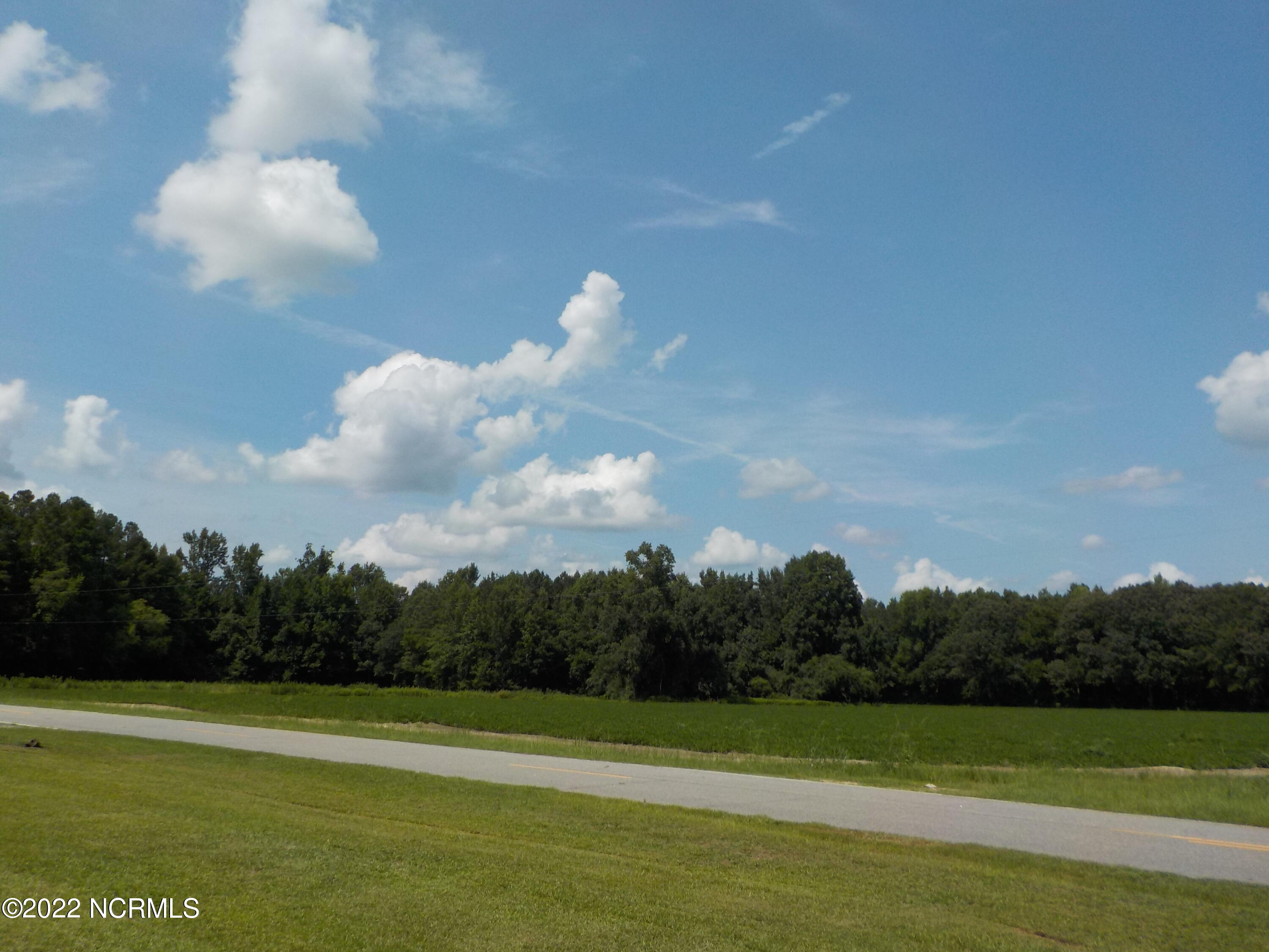 10856 Straight Gate Road Whitakers, NC 27891 - Photo 7 of 41 view across street