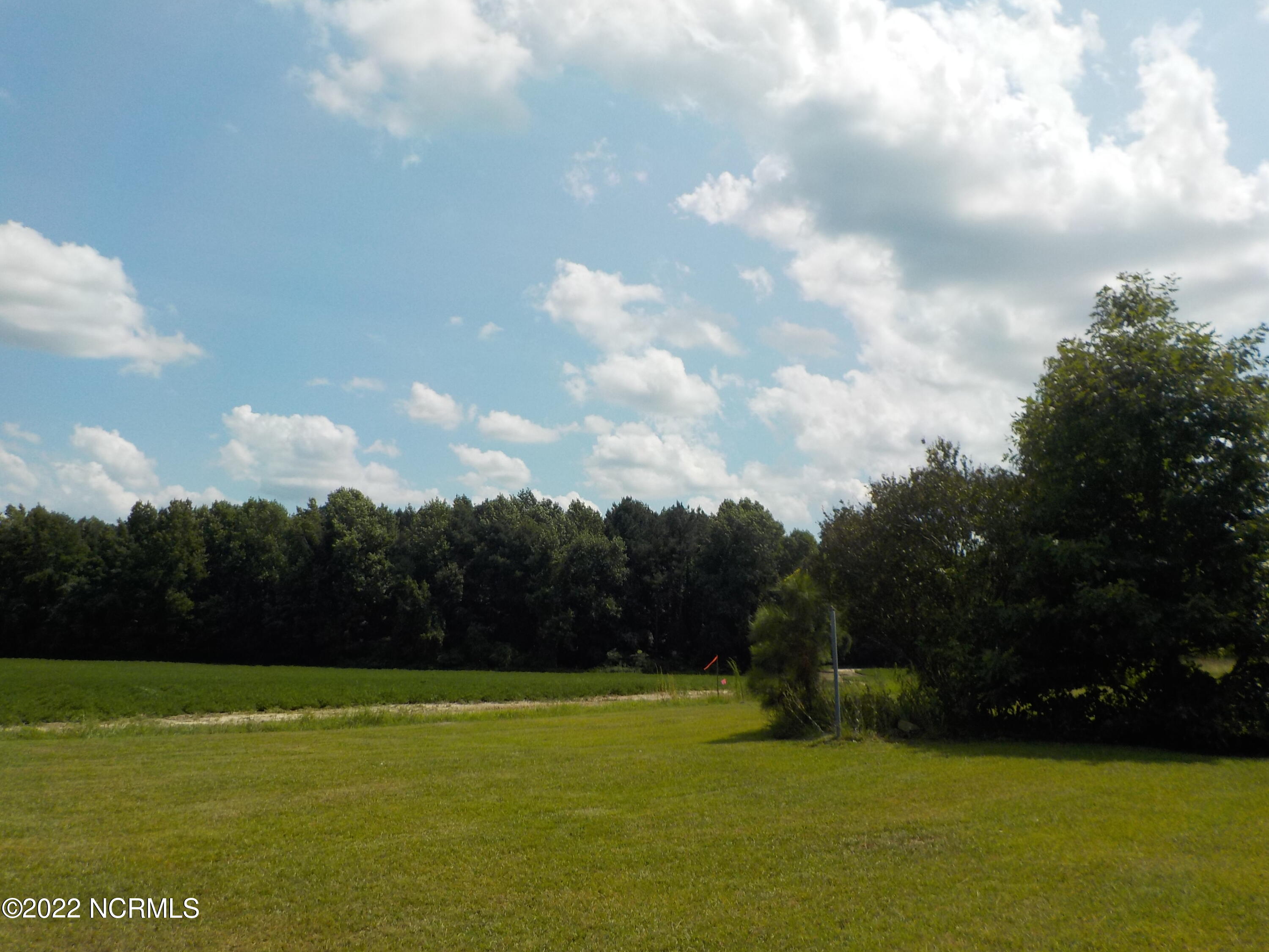 10856 Straight Gate Road Whitakers, NC 27891 - Photo 8 of 41 view across street
