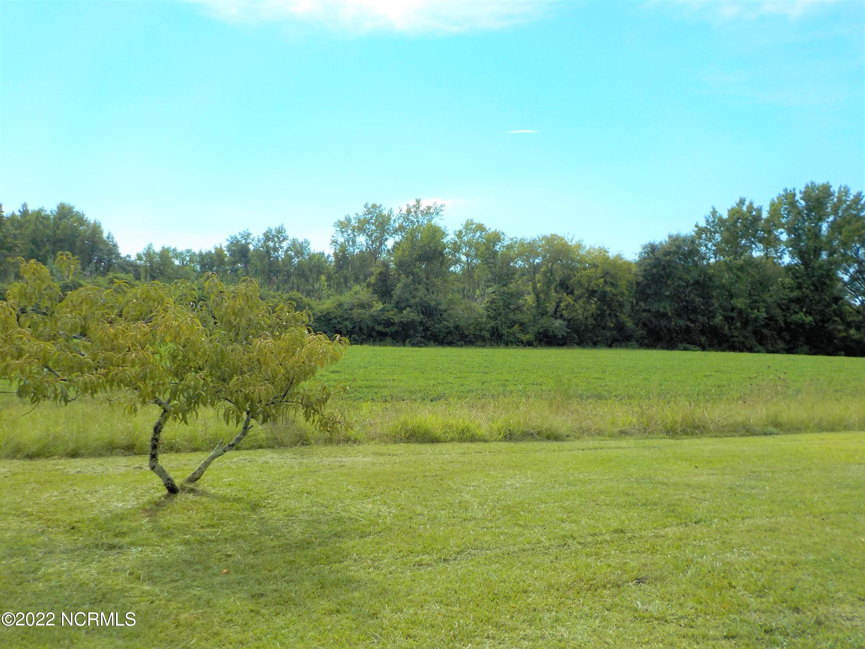10856 Straight Gate Road Whitakers, NC 27891 - Photo 9 of 41 view behind home