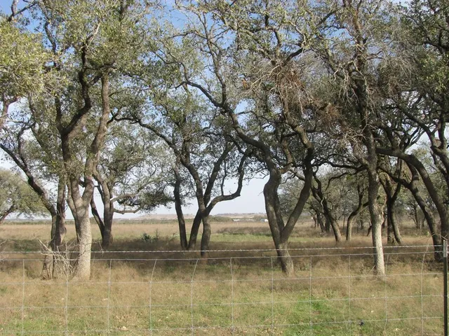 $398,000 | 996 County Road 421, Evant, TX 76525