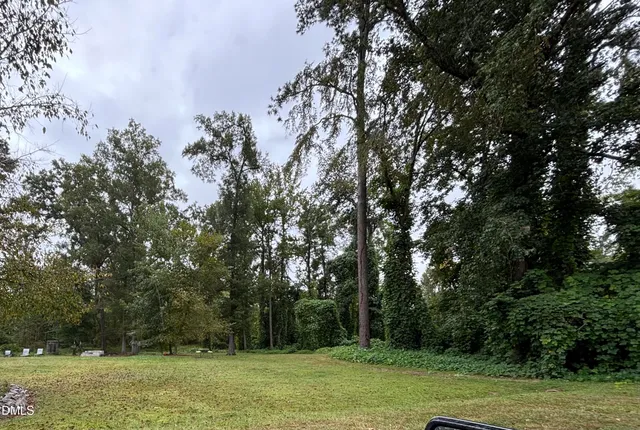 a view of a grassy field with trees