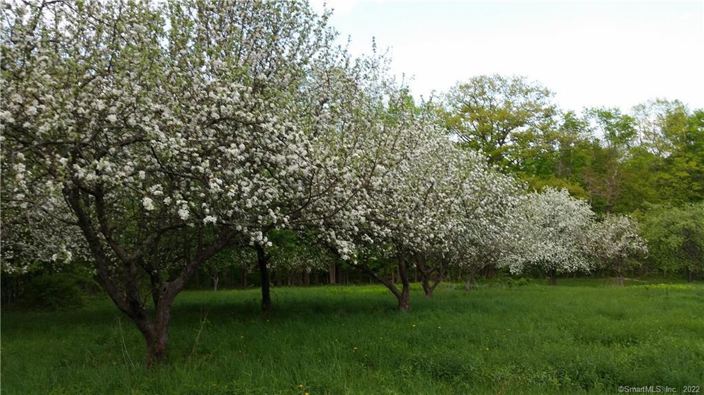 21 Legeyt Road Barkhamsted, CT 06063 - Photo 31 of 37 Enjoy your very own apple orchard