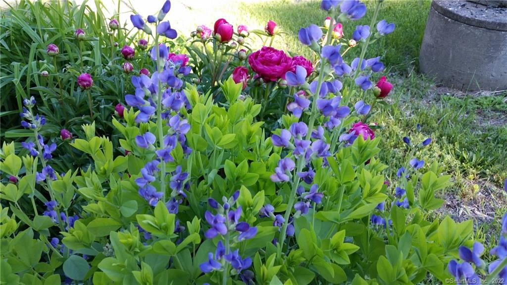 21 Legeyt Road Barkhamsted, CT 06063 - Photo 33 of 37 A beautiful garden awaits