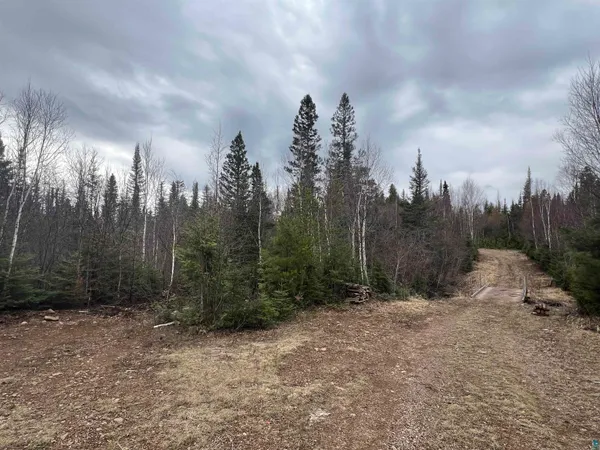 $65,000 | Xxx5 Hefflefinger Road, Silver Bay, MN 55614