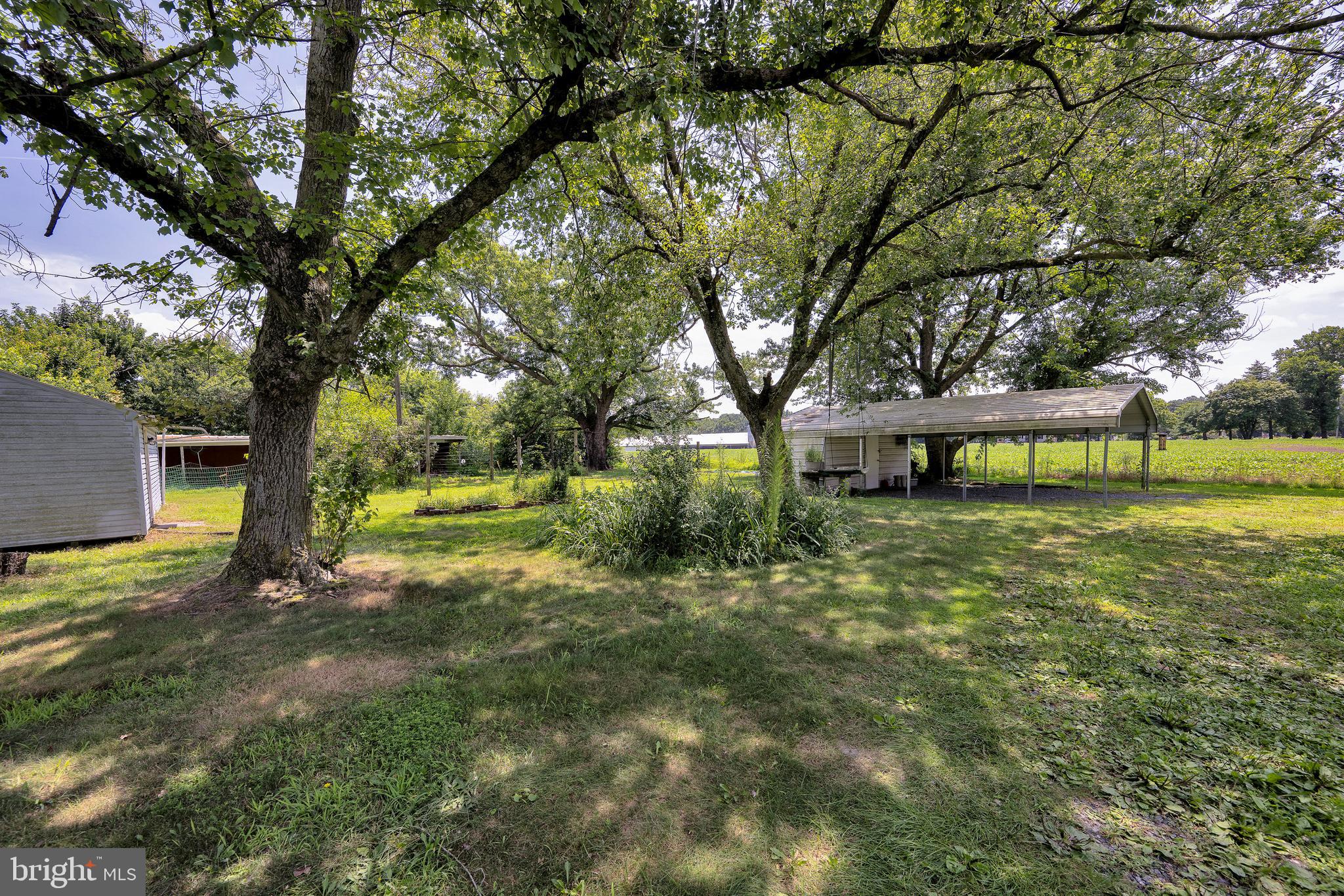 7445 Walston Switch Road Parsonsburg, MD 21849 - Photo 22 of 28 Gallery Image 22
