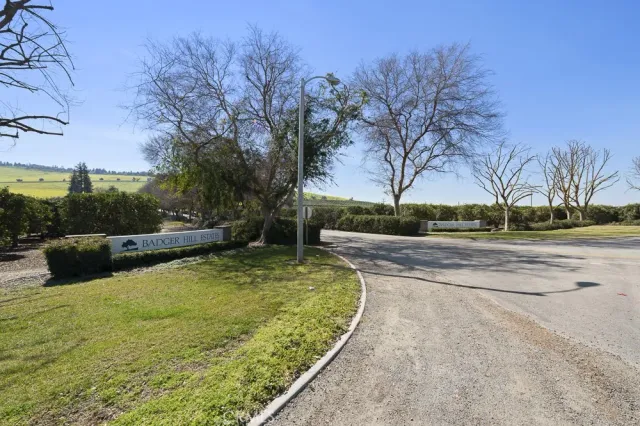 a view of a garden with basketball court