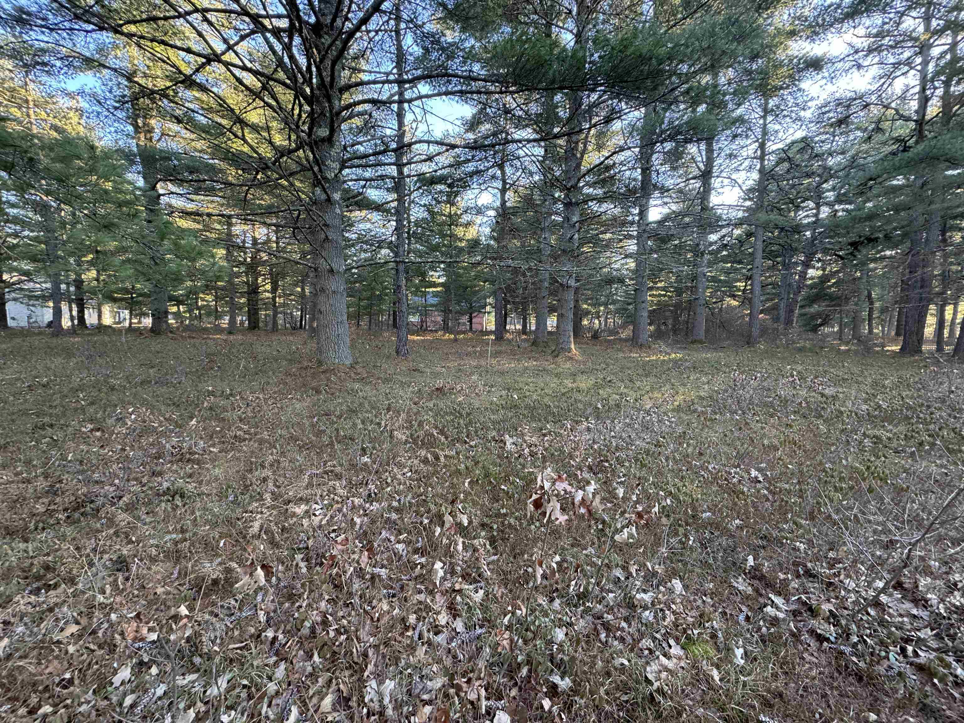 12 Logan Way Ossipee, NH 03864 - Photo 2 of 38