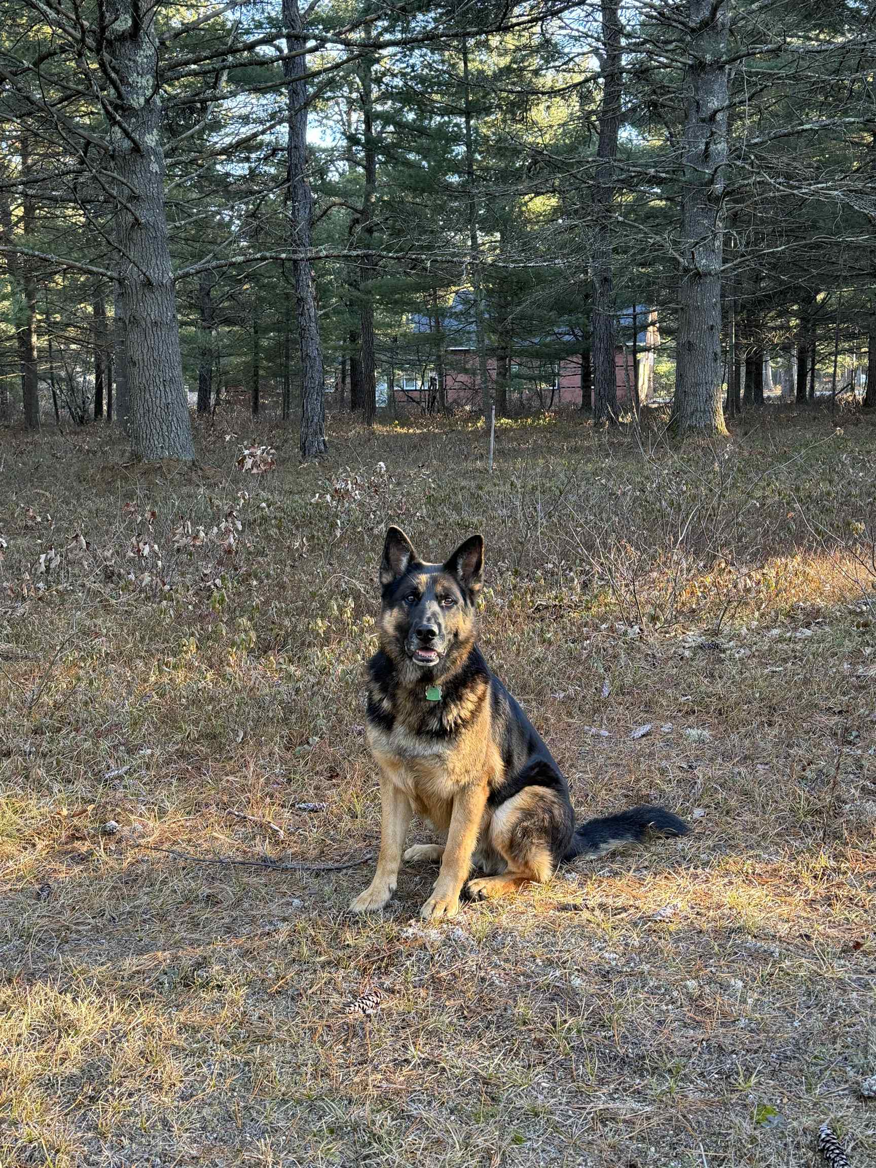 12 Logan Way Ossipee, NH 03864 - Photo 24 of 38