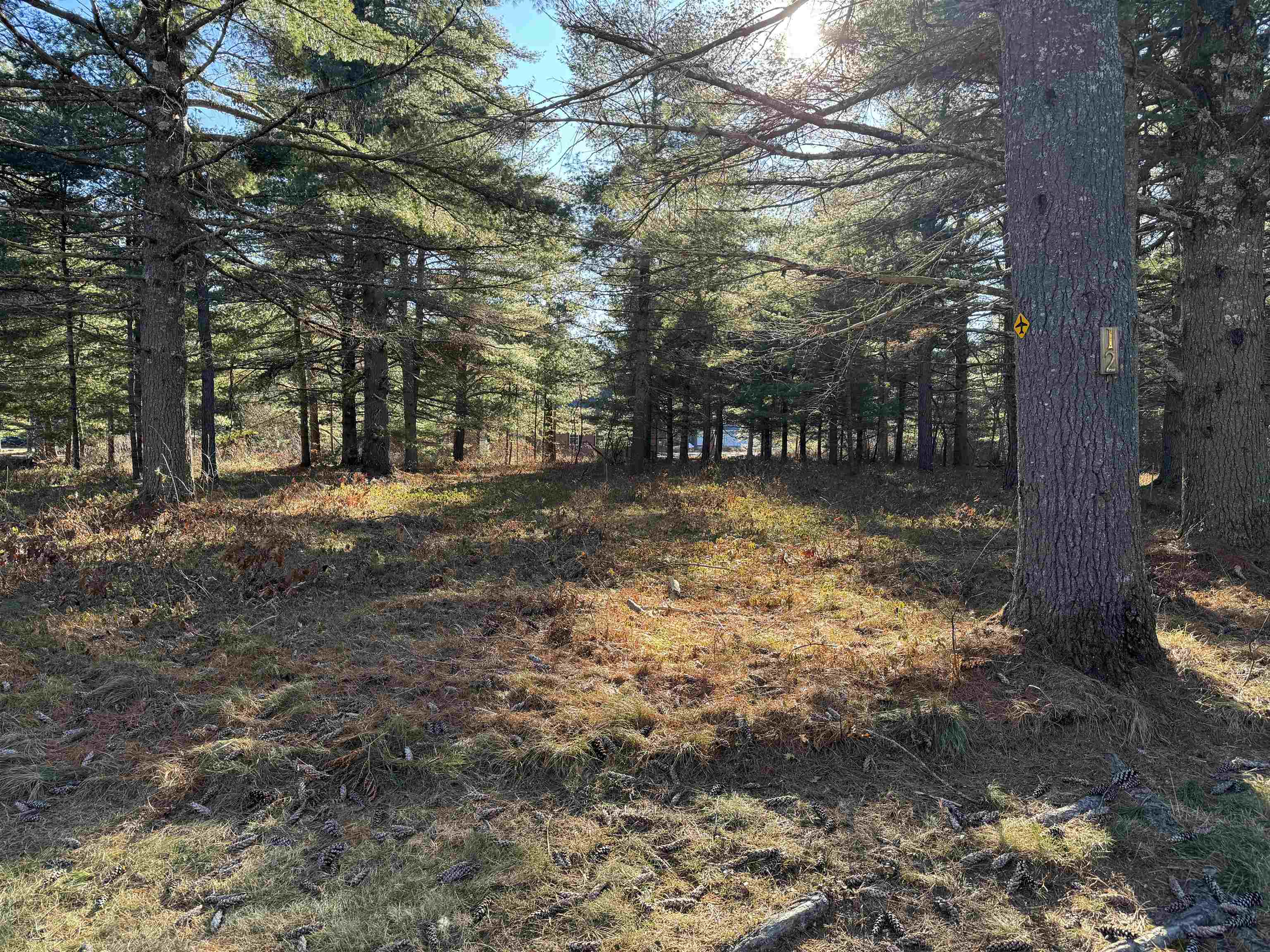 12 Logan Way Ossipee, NH 03864 - Photo 29 of 38