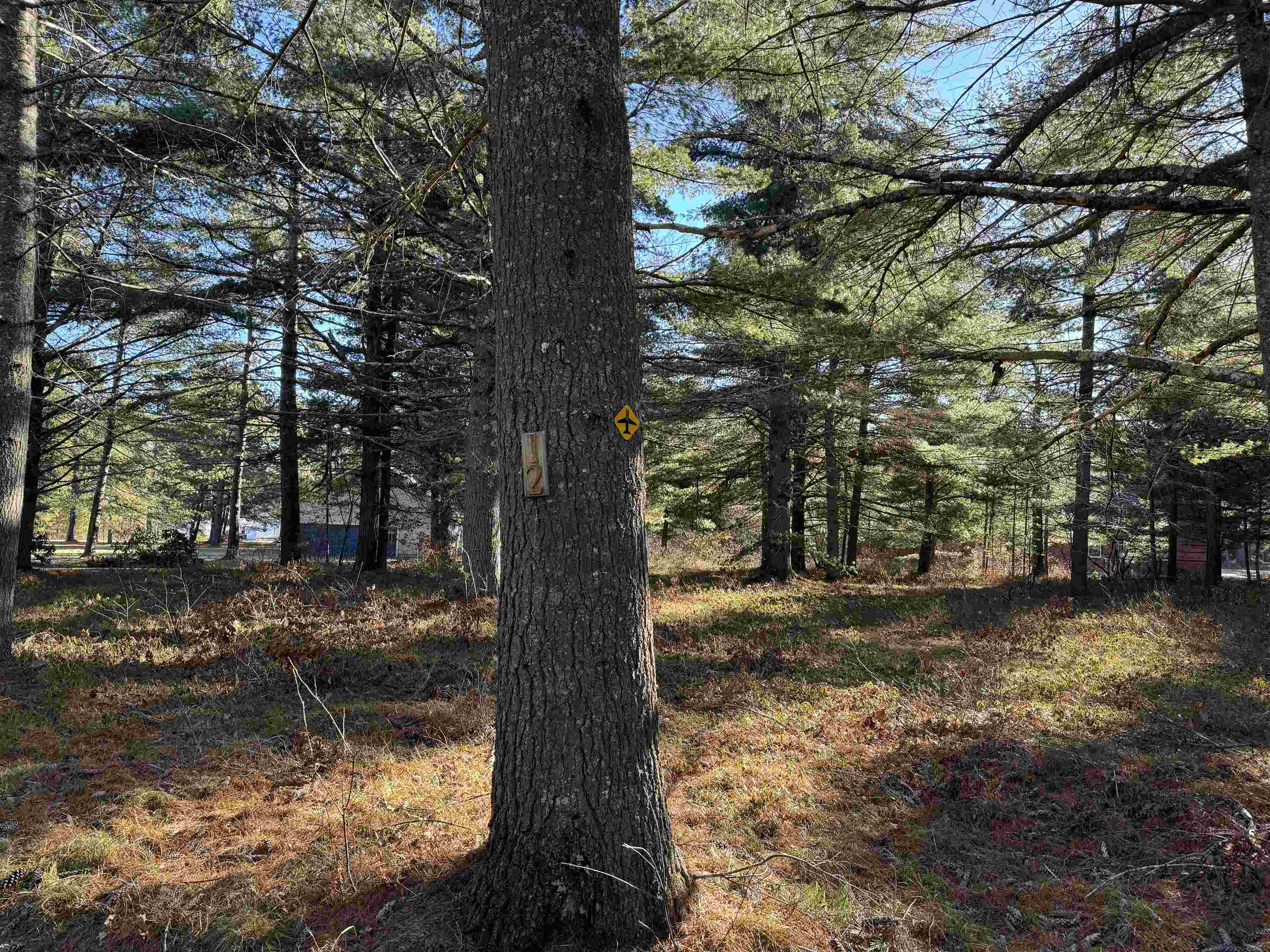 12 Logan Way Ossipee, NH 03864 - Photo 30 of 38