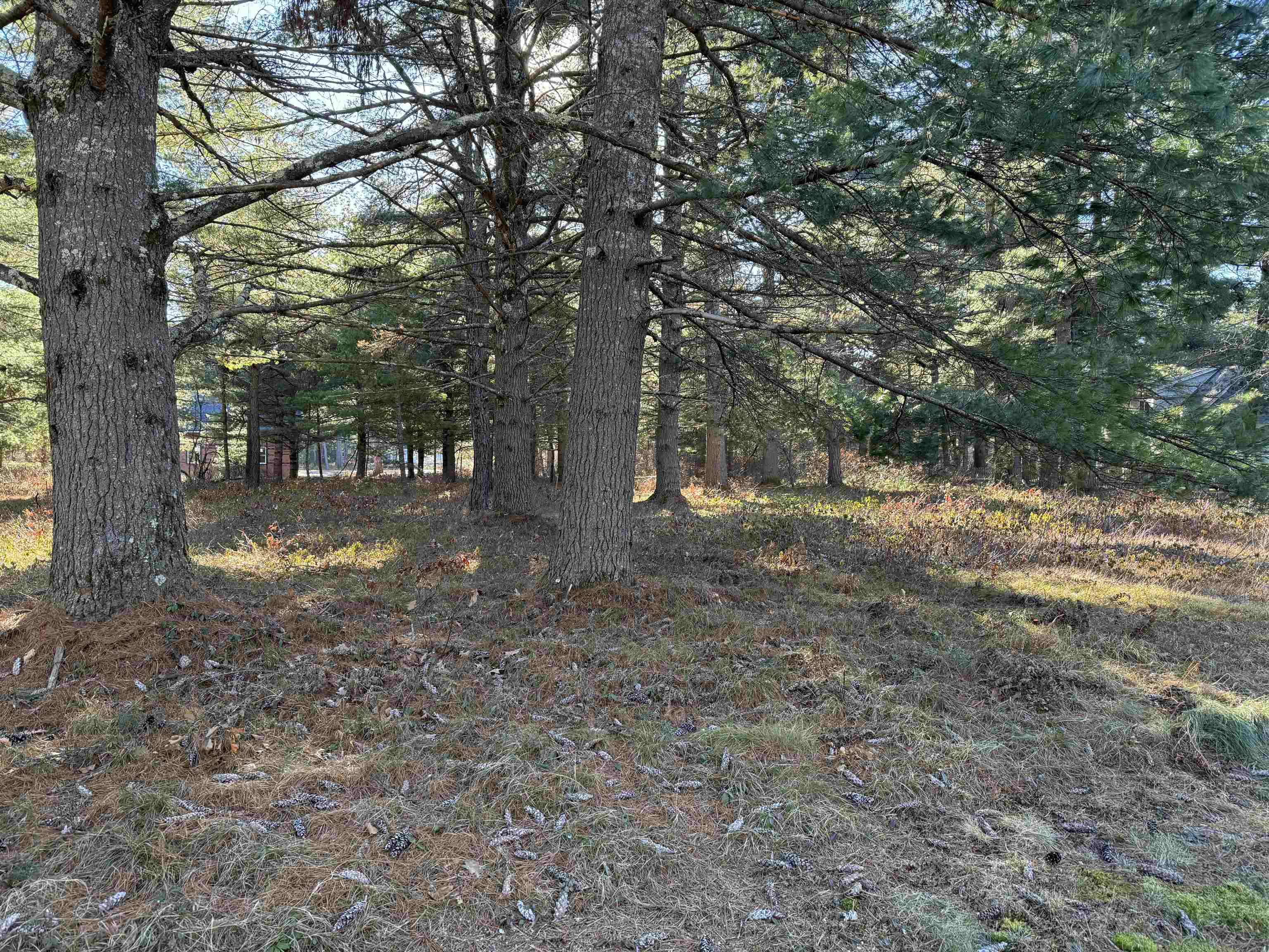 12 Logan Way Ossipee, NH 03864 - Photo 31 of 38