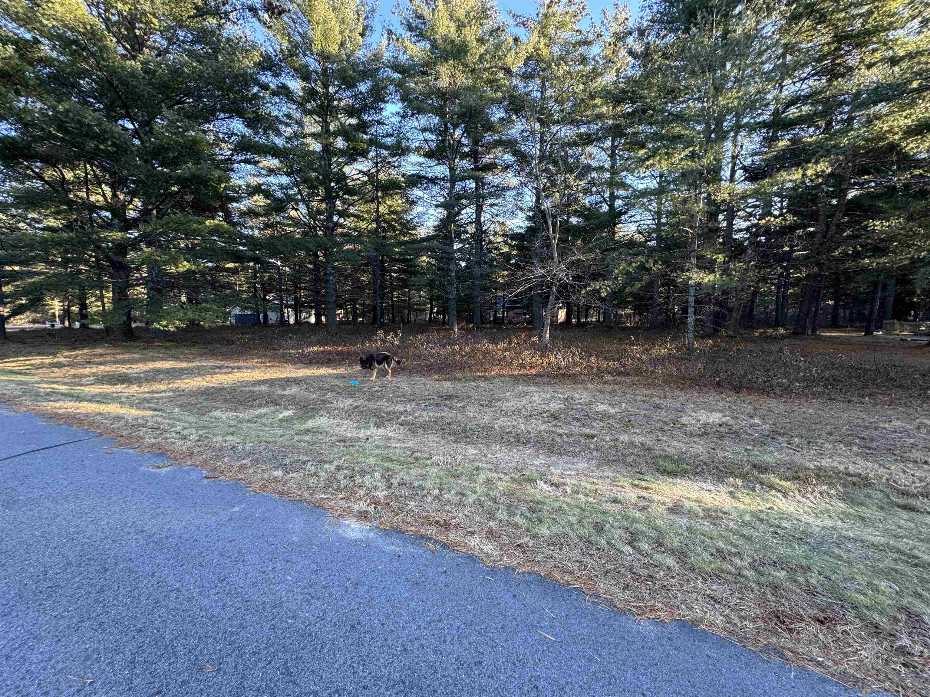 12 Logan Way Ossipee, NH 03864 - Photo 7 of 38