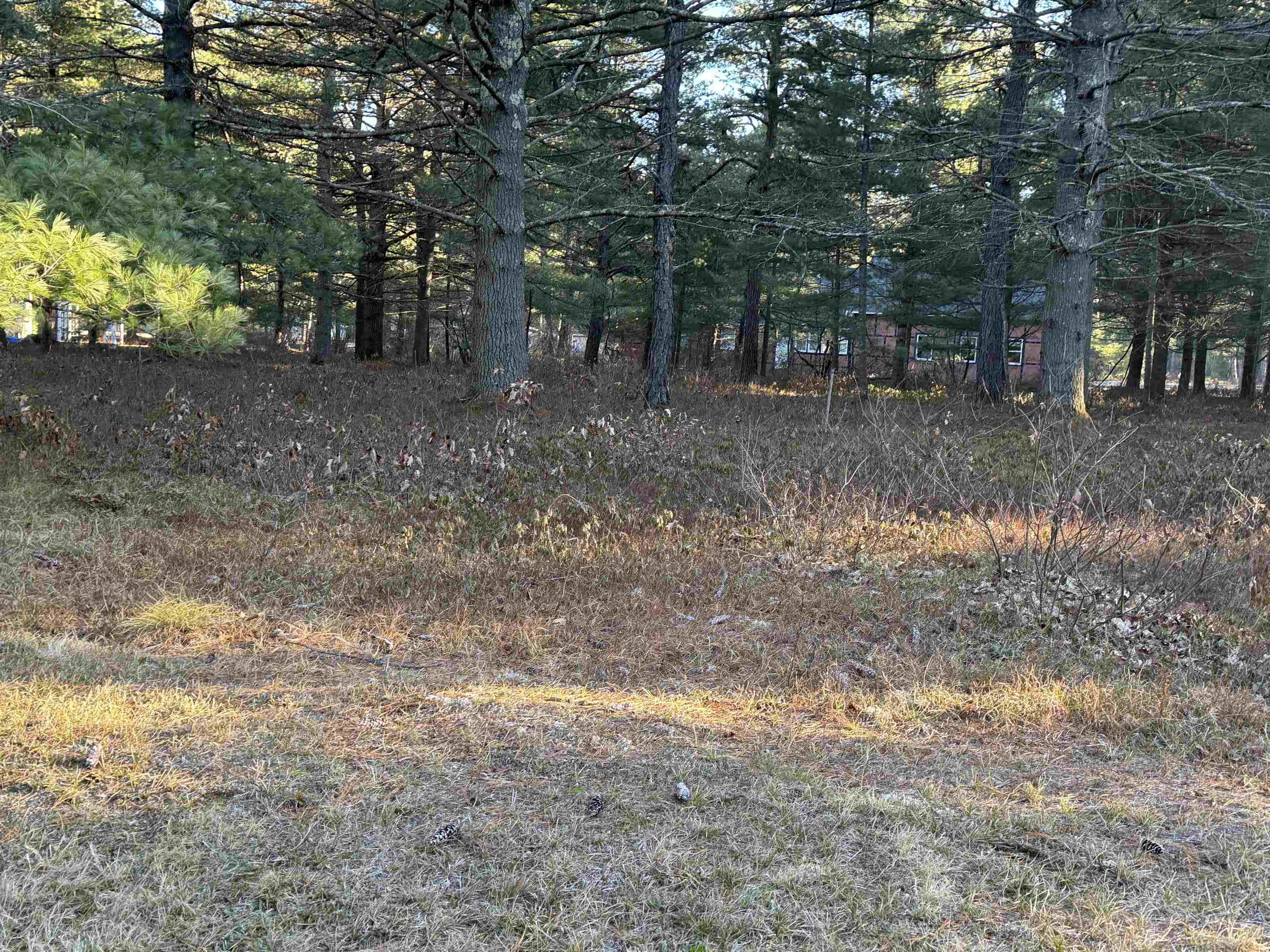 12 Logan Way Ossipee, NH 03864 - Photo 10 of 38