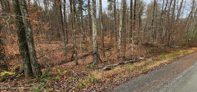 a view of a yard with lots of bushes