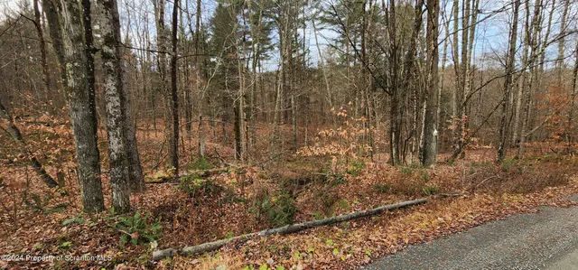a view of a backyard of the house