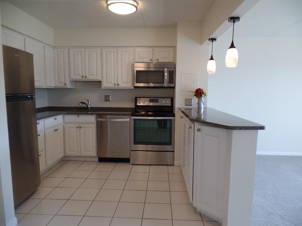 2120 Greentree Road, Unit 807E Pittsburgh, PA 15220 - Photo 3 of 36 Gallery Image 3