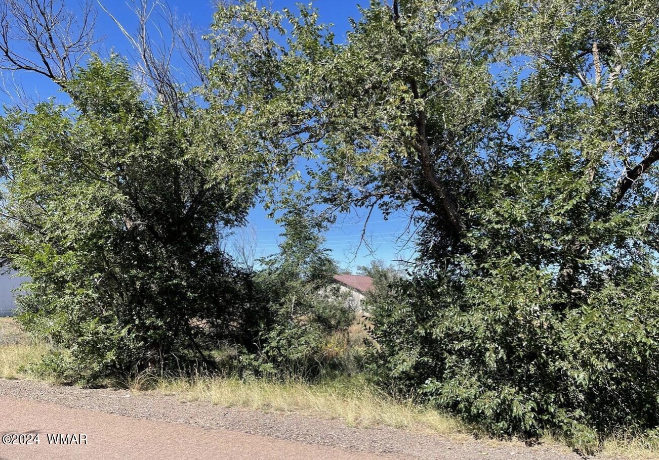 Tbd Tori Circle Springerville, AZ 85938 - Photo 2 of 3