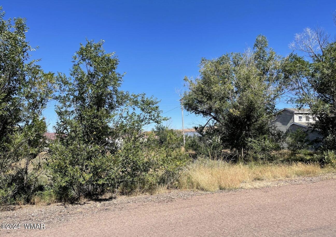 Tbd Tori Circle Springerville, AZ 85938 - Photo 3 of 3