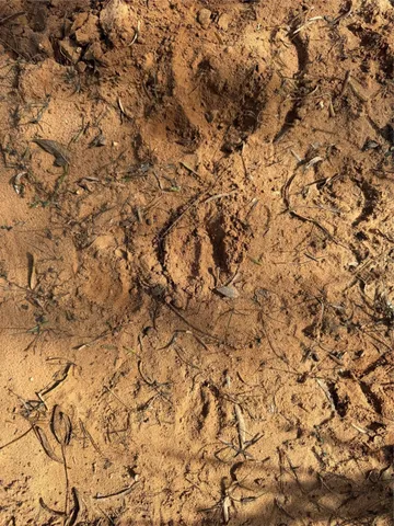 $929,000 | 355 County Road 144, Comanche, TX 76442