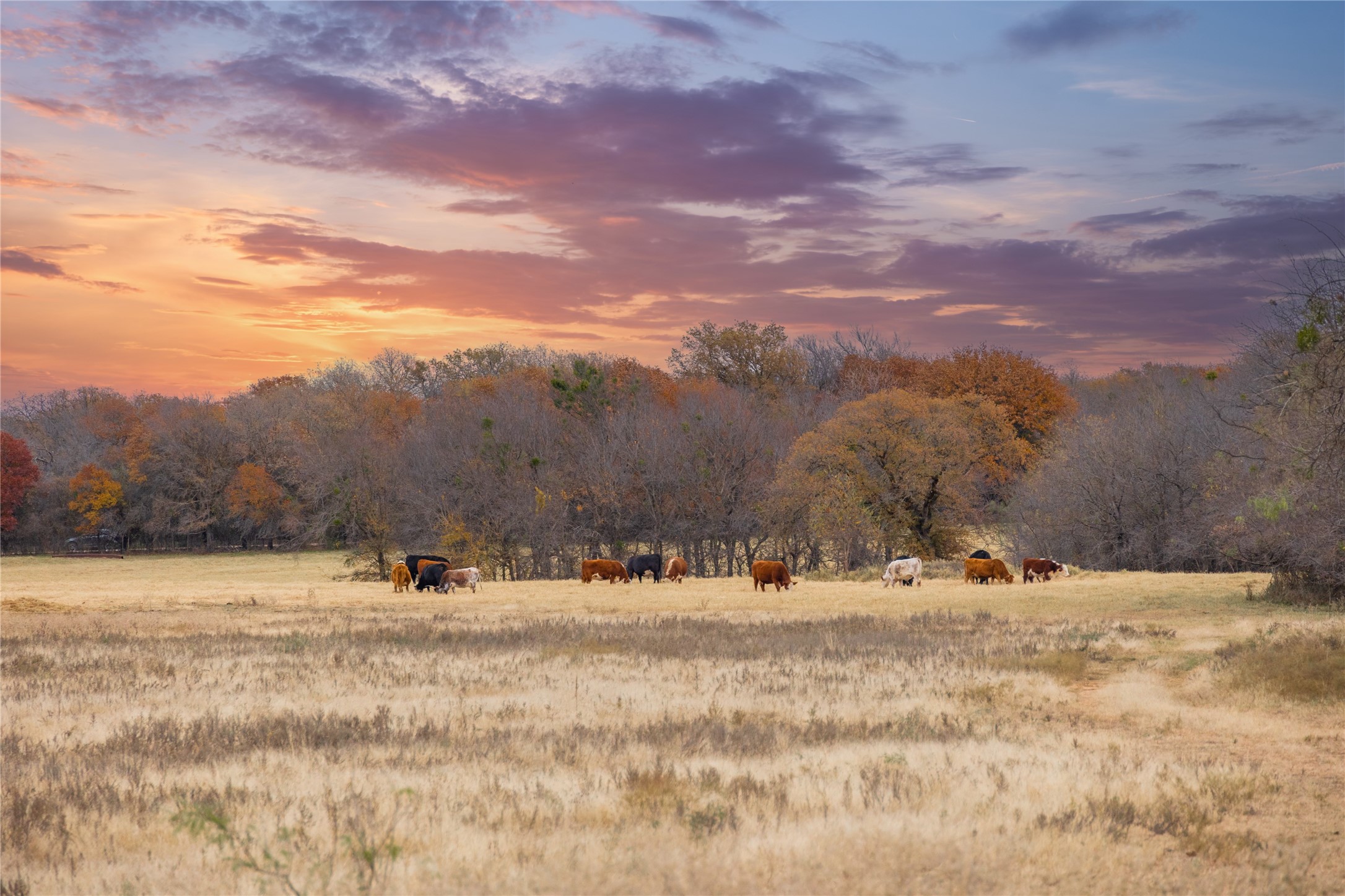 355 County Road 144 Comanche, TX 76442 - Photo 2 of 14 a view of the house with a yard